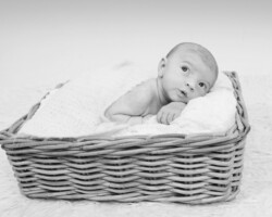 réserver votre shooting photo Bébé panier shooting photo