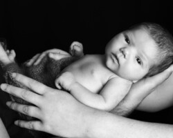 Photographe Yvelines. Photographe 78.